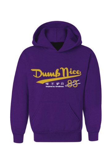 KD 6 Black History Month's violet Untuckt – Dumb Nice Hoodie