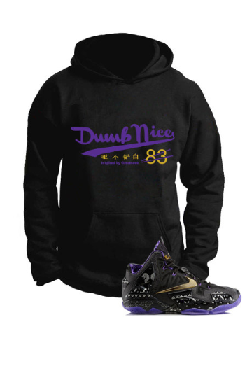 Lebron 11 Black History Month's Black Untuckt – Dumb Nice Hoodie